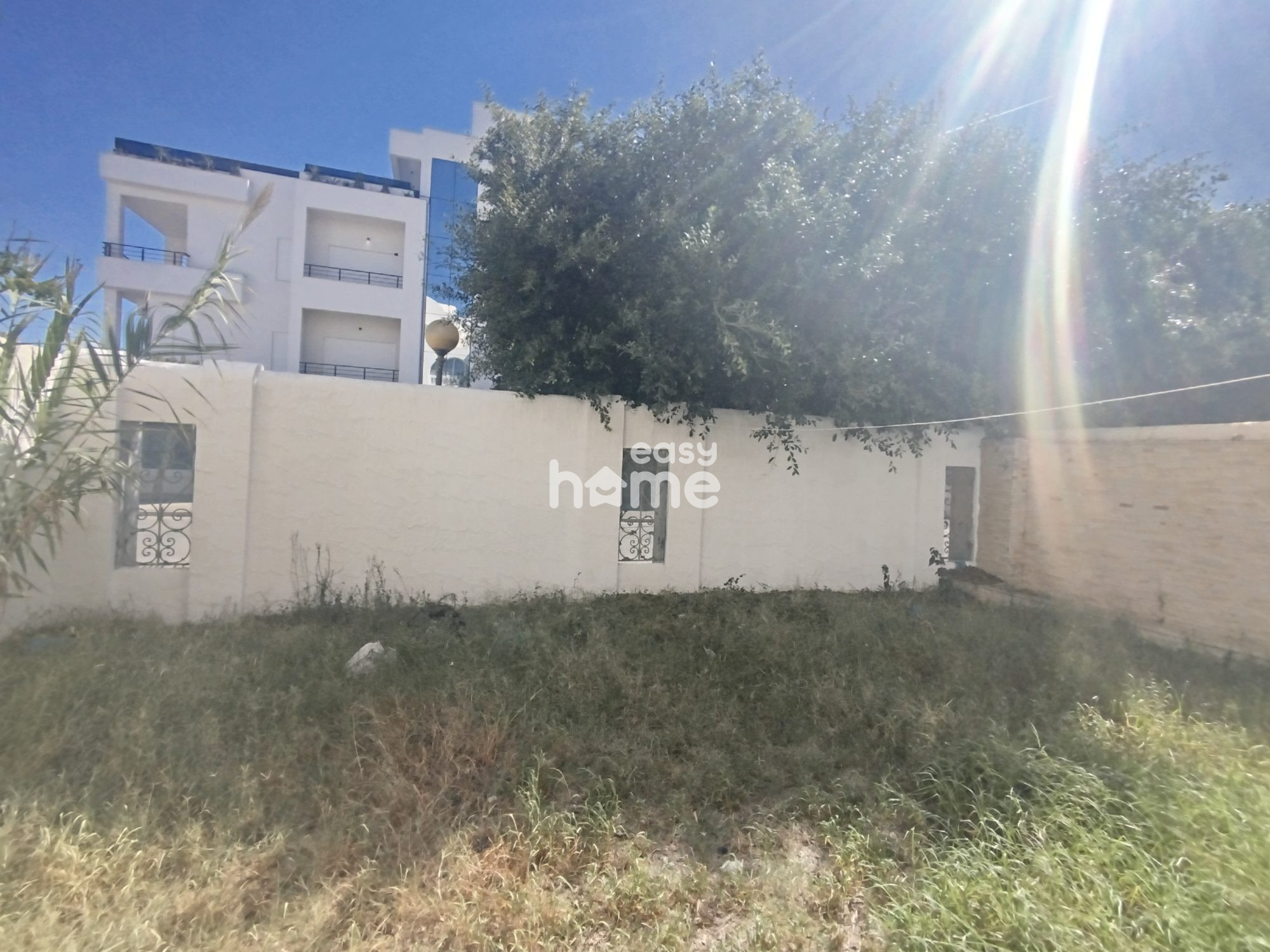 S+2 non meublé avec jardin, photo 2